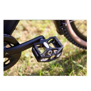 Santos platform pedalen