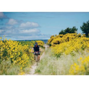 Gids voor de Bikepacker - Lonely Planet